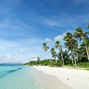 474778566_2205712066512821_6582948215705369252_n