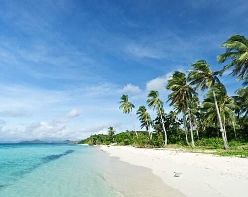 474778566_2205712066512821_6582948215705369252_n