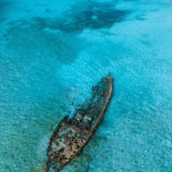 WhatsApp Image 2026-02-23 at 2.07.09 PM (1)