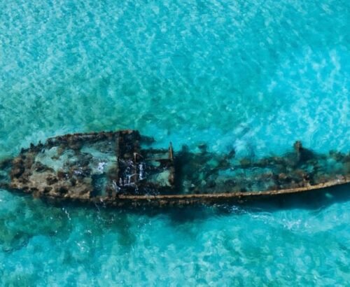 WhatsApp Image 2026-02-23 at 2.07.14 PM