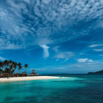 WhatsApp Image 2026-02-23 at 2.07.18 PM (1)