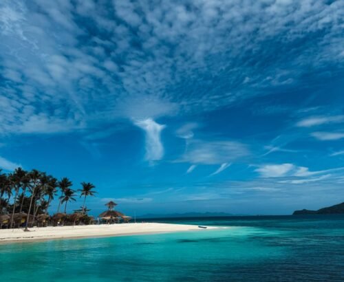 WhatsApp Image 2026-02-23 at 2.07.18 PM (1)